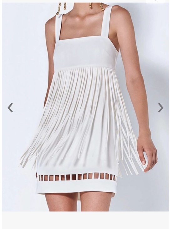 Alexis Dresses & Skirts - Alexis Saskia Fringe Mini Dress